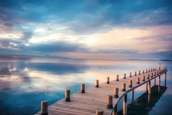 澳洲知名公司排名前十