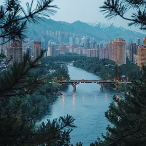 全球软件公司利润排名前十